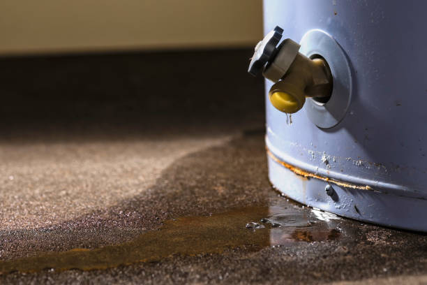 Best Fire Damage Restoration  in North Madison, OH