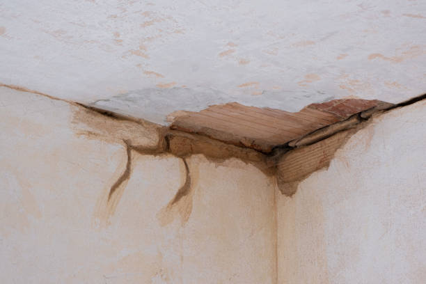 Best 24-hour water damage restoration  in North Madison, OH