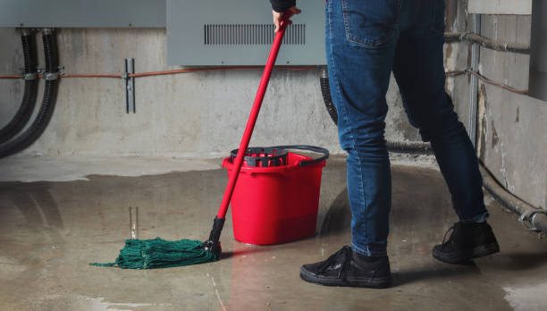 Best Residential water damage restoration  in North Madison, OH
