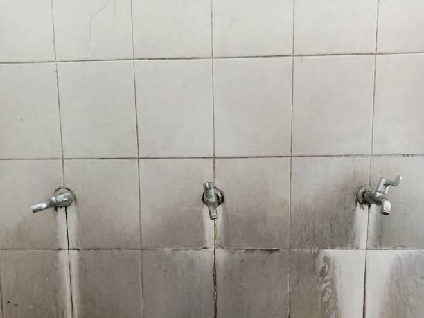 Professional Water damage restoration in North Madison, OH
