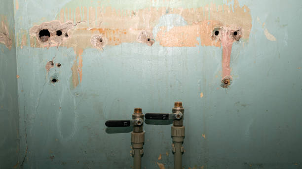 Best Flood damage cleanup  in North Madison, OH