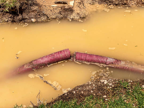 Best Water damage restoration near me  in North Madison, OH