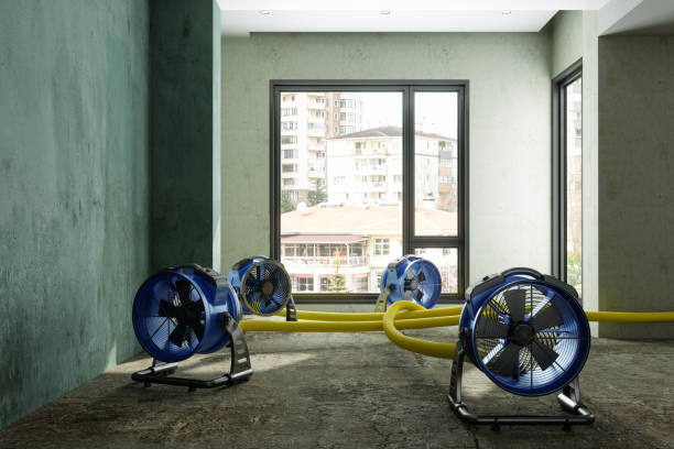 Best Fire Damage Restoration  in North Madison, OH